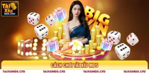 cách chơi tài xỉu md5