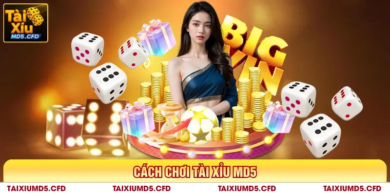 cách chơi tài xỉu md5