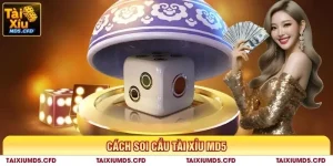 cách soi cầu tài xỉu