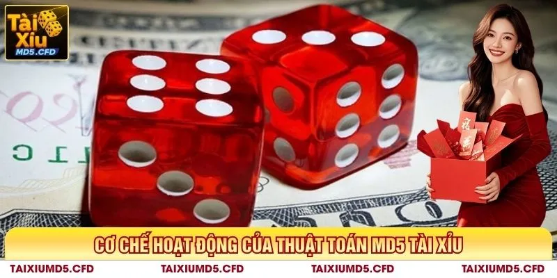 Cơ chế hoạt động của thuật toán MD5 tài xỉu