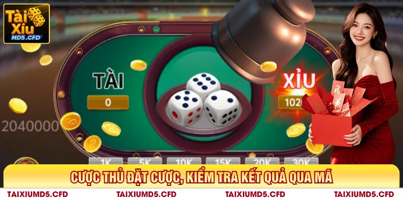 Cược thủ đặt cược, kiểm tra kết quả qua mã