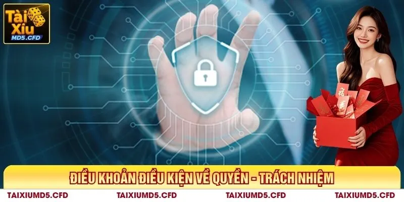 Điều khoản điều kiện về quyền - trách nhiệm